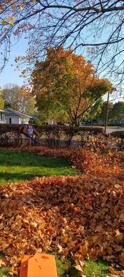 Healy's Lawn and Landscape
