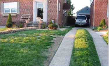Affordable yard cleanup service in Huntington, WV by Heard Green Lawns