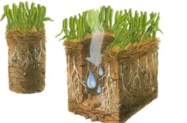 Expert yard maintenance for homes across Huntington, WV - Heard Green Lawns