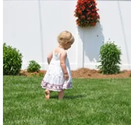 Expert yard cleanup service experts serving Huntington, WV - Heard Green Lawns