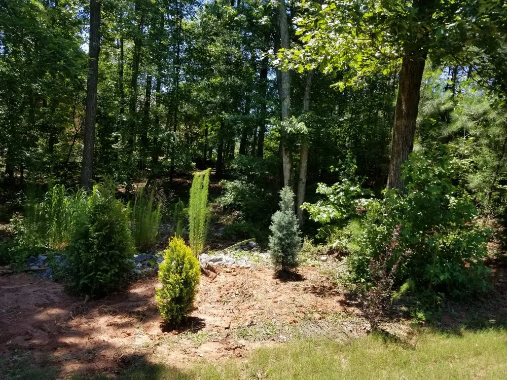 Top-rated yard cleanup service experts serving Brooks, GA - Hearn Landscape