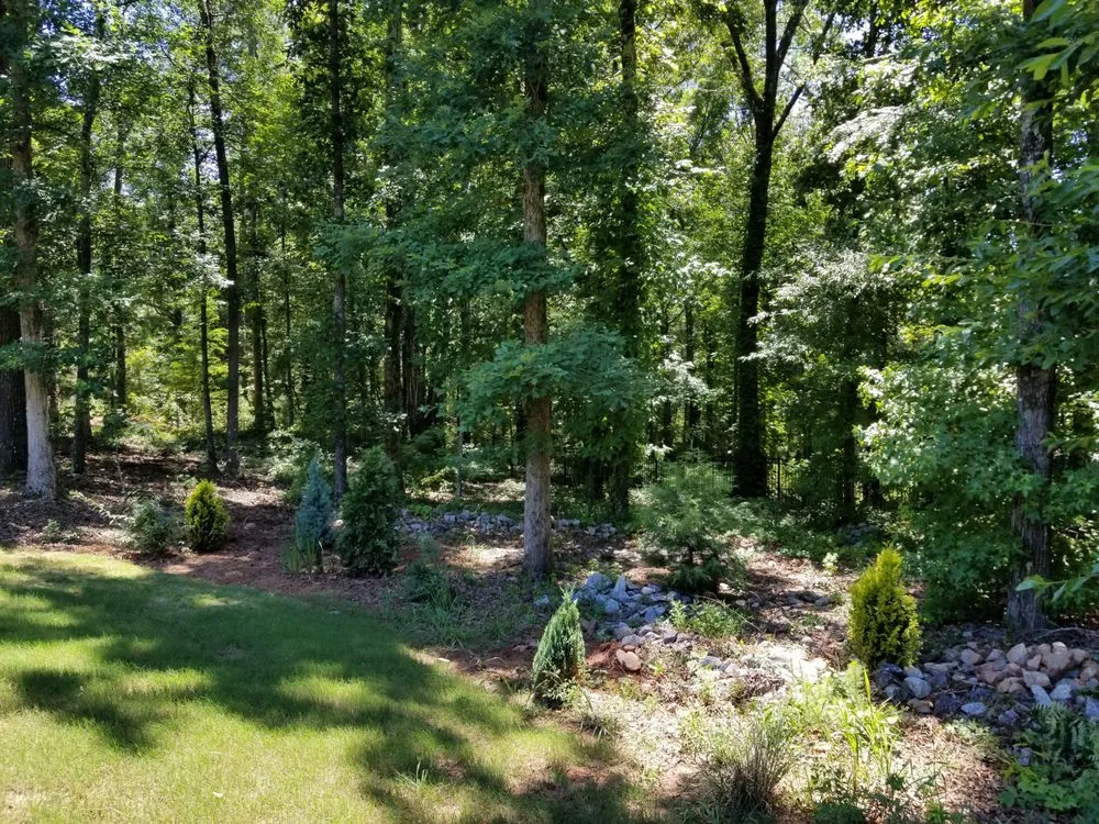 Reliable landscaping services with custom design across Brooks, GA - Hearn Landscape