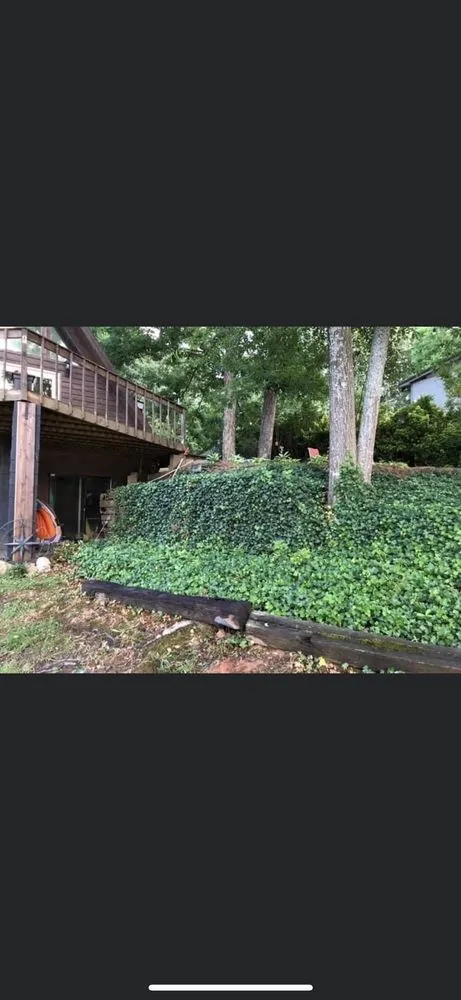 Professional lawn mowing service with custom design across Brooks, GA - Hearn Landscape