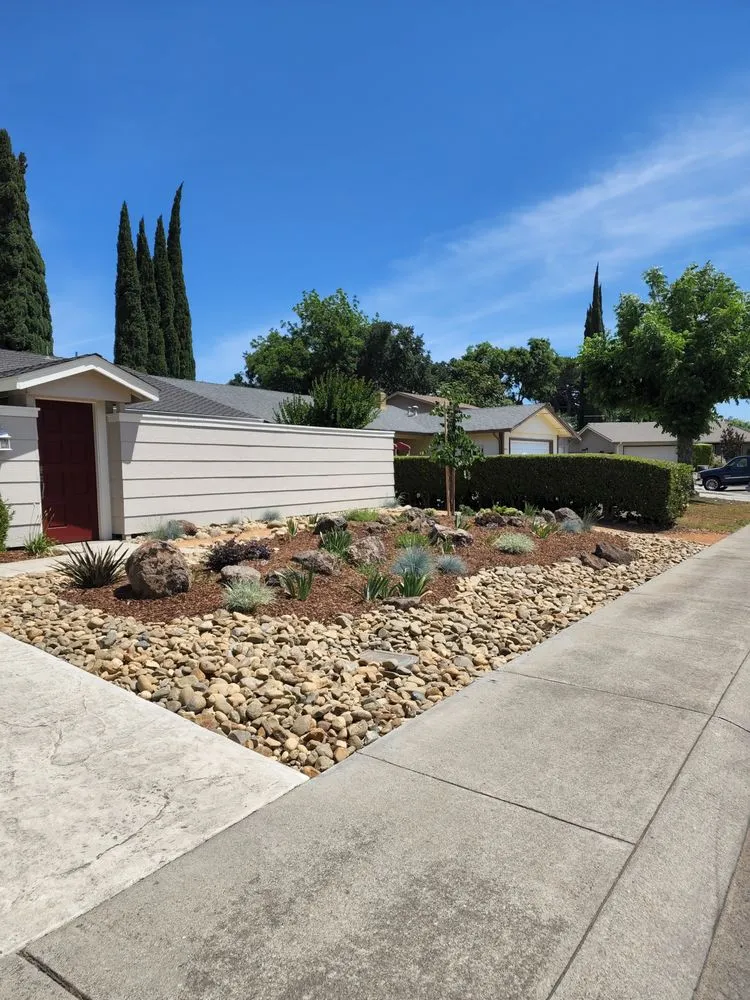 Custom yard cleanup service for year-round maintenance in Stockton, CA by Hearn Landscaping