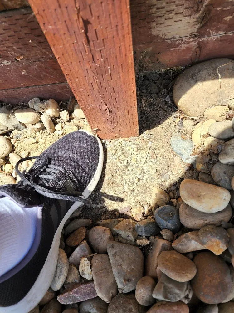 Custom yard maintenance in Stockton, CA - Hearn Landscaping