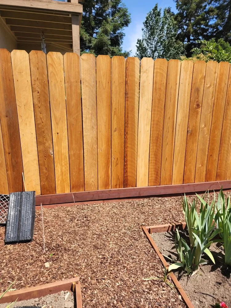 Top-rated yard cleanup service in Stockton, CA by Hearn Landscaping