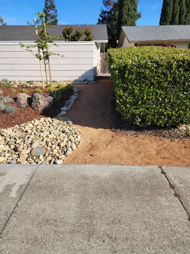Affordable yard maintenance in Stockton, CA by Hearn Landscaping