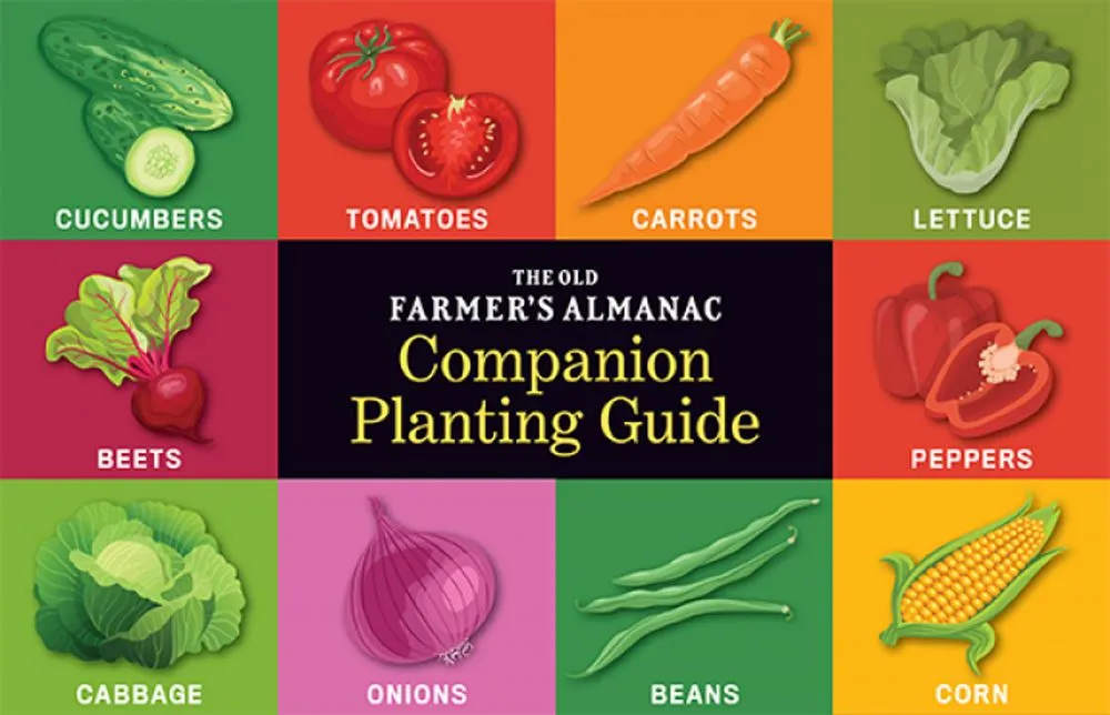 Affordable landscape design in Brownfield, ME by Heart & Hand