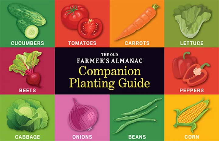 Local landscape installation in Brownfield, ME - Heart & Hand