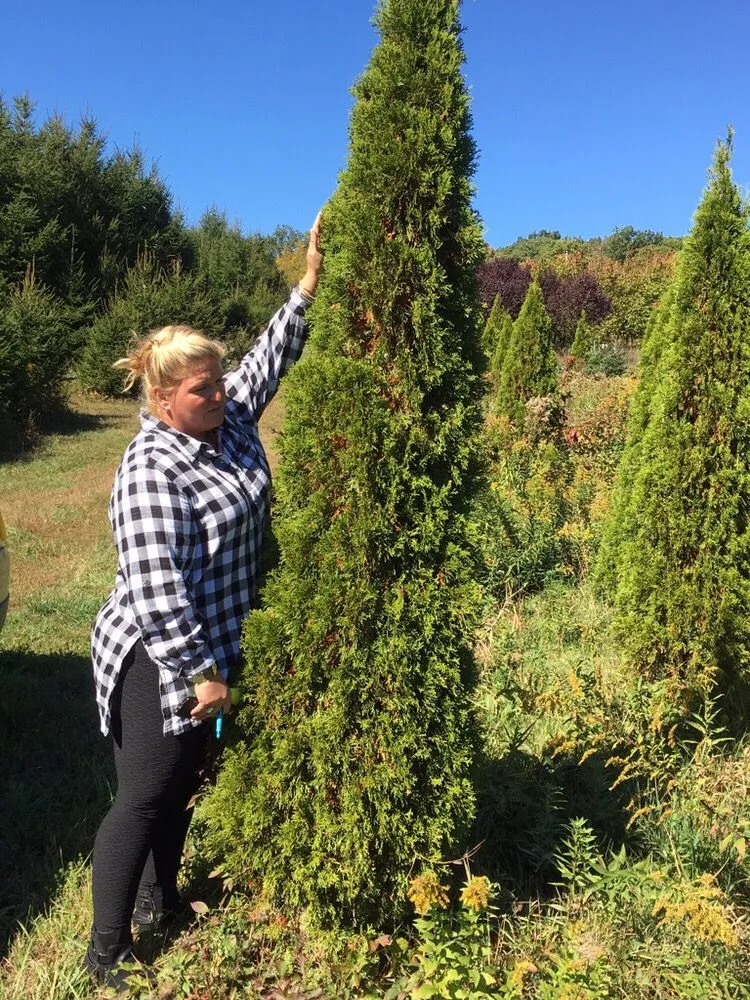 Expert garden landscaping for outdoor upgrades in Nazareth, PA by Heart & Soul Landscaping and Design