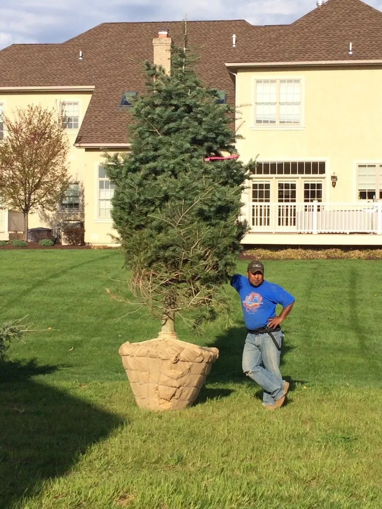 Top-rated landscaping services for beautiful yards across Nazareth, PA - Heart & Soul Landscaping and Design