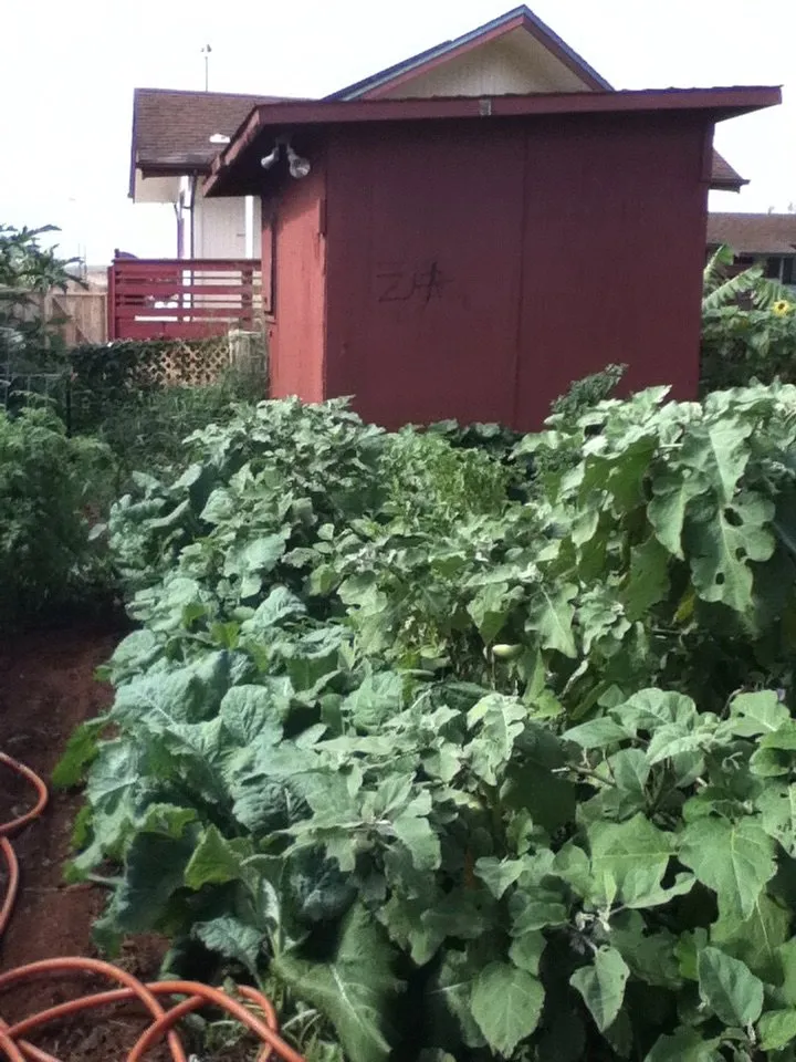 Affordable yard maintenance experts serving Kilauea, HI - Heart & Soul Organics