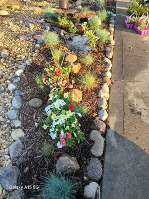 Heart Land Solution's Logo