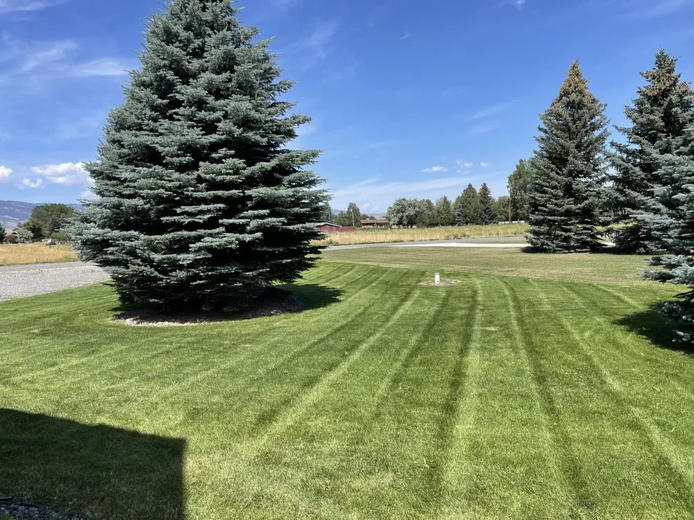 Custom lawn mowing service in Cody, WY - Heart Mountain Lawn Care