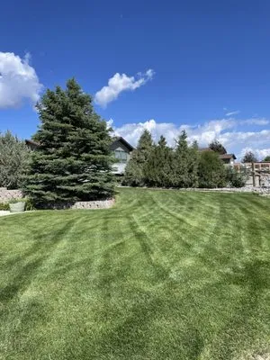Heart Mountain Lawn Care