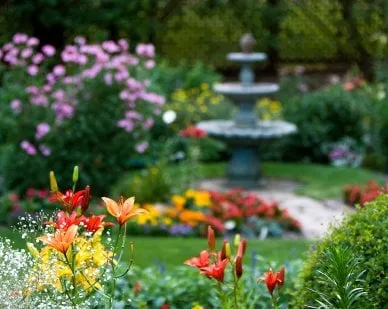 Affordable landscape design for year-round maintenance in Hawkinsville, GA by Heart of Georgia Landscaping