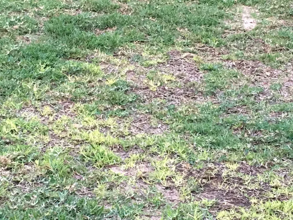 Top-rated landscape installation experts serving Belton, TX - Heart of Texas Landscape & Irrigation