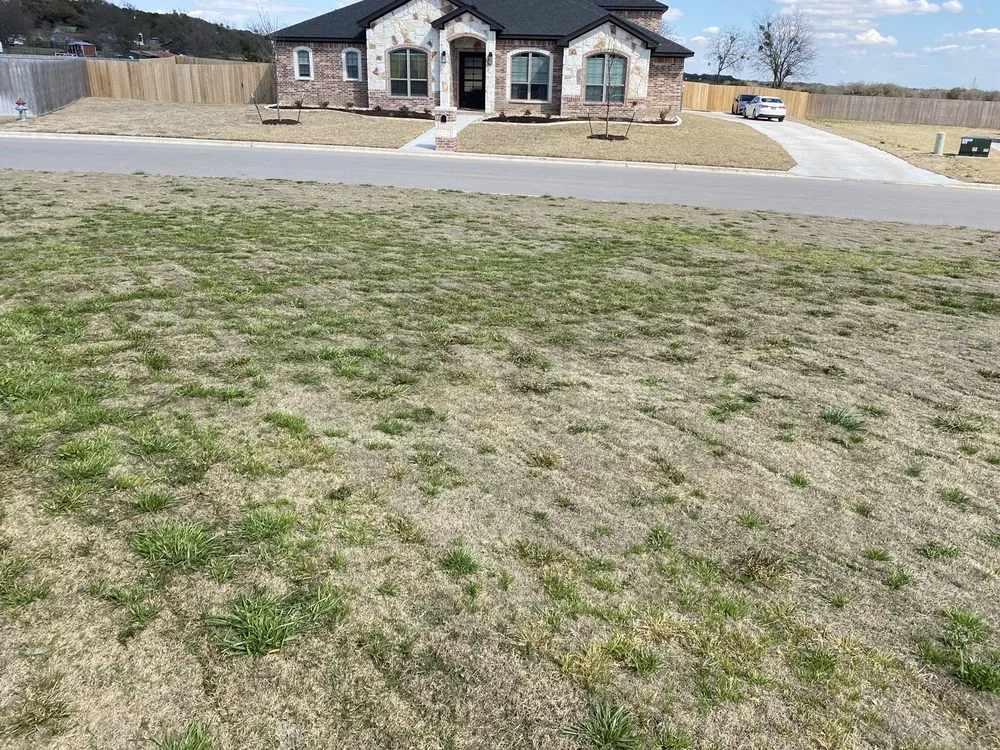 Custom landscape design near you in Belton, TX by Heart of Texas Landscape & Irrigation