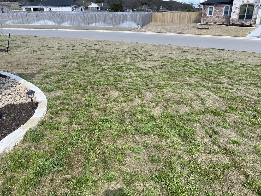 Local lawn care service in Belton, TX by Heart of Texas Landscape & Irrigation