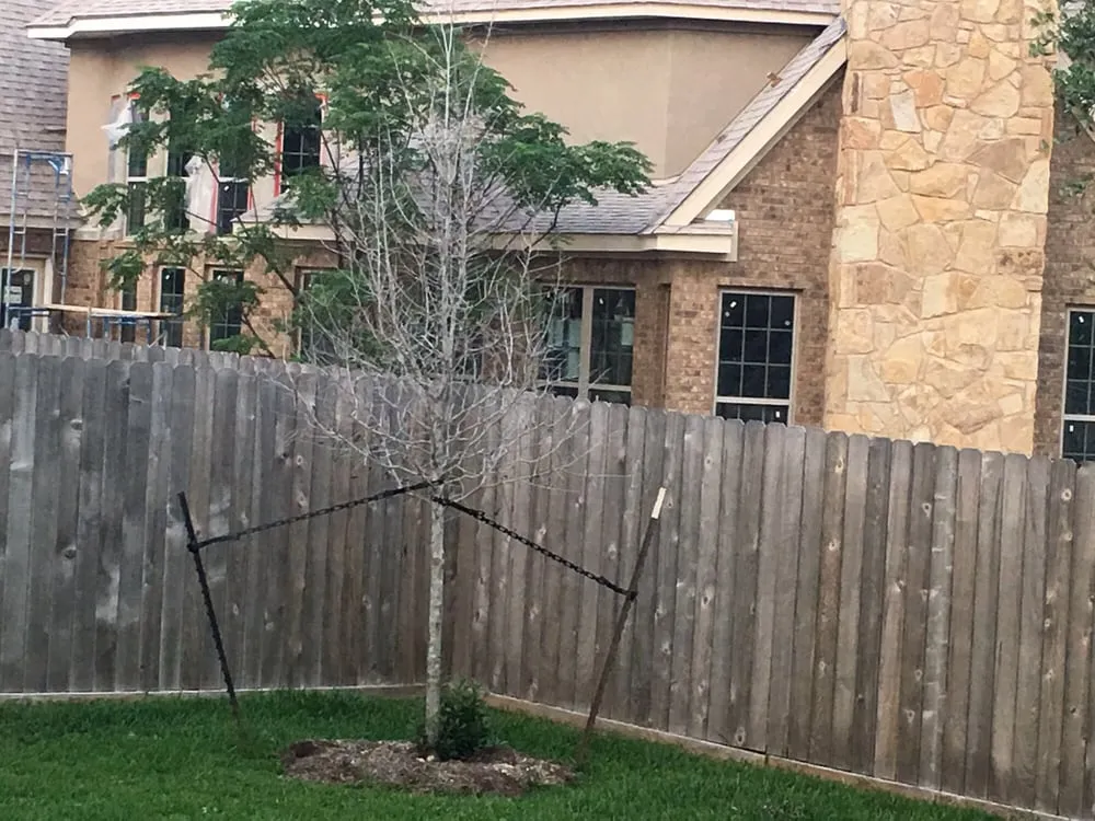 Local landscape design for homes in Belton, TX by Heart of Texas Landscape & Irrigation