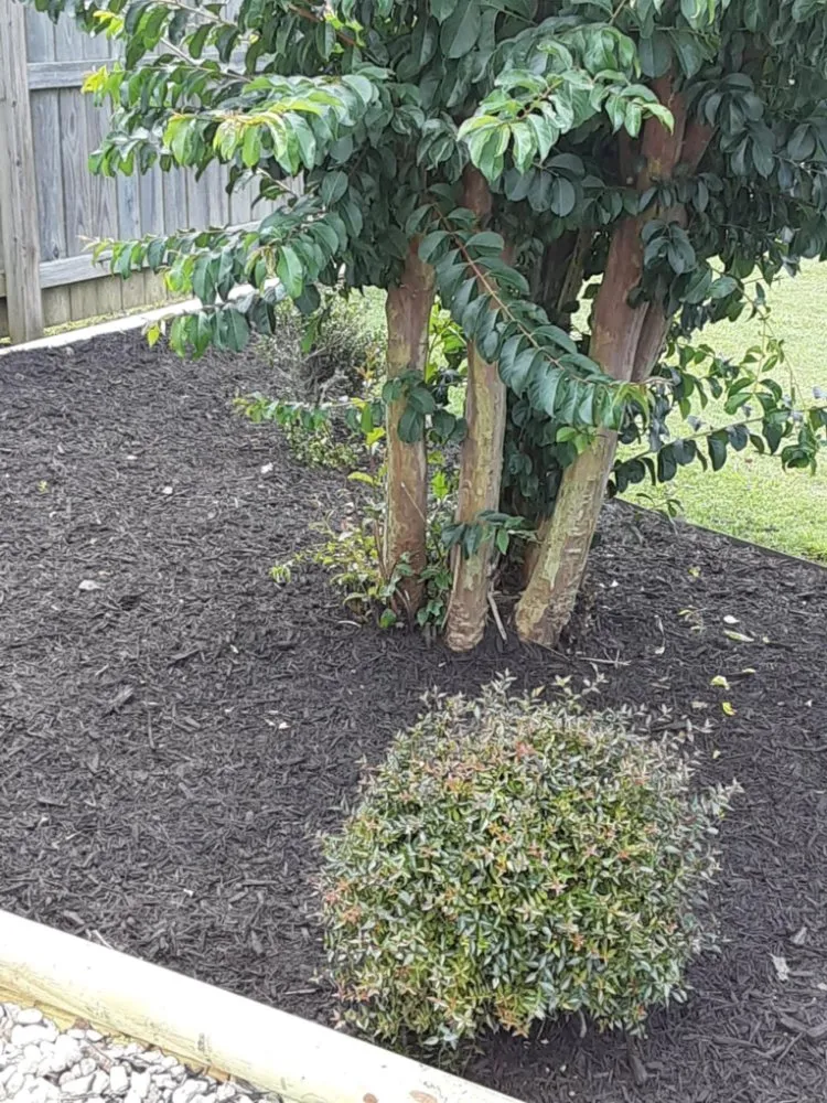 Affordable lawn care service for outdoor upgrades in Somerville, AL by Heart Of The Valley