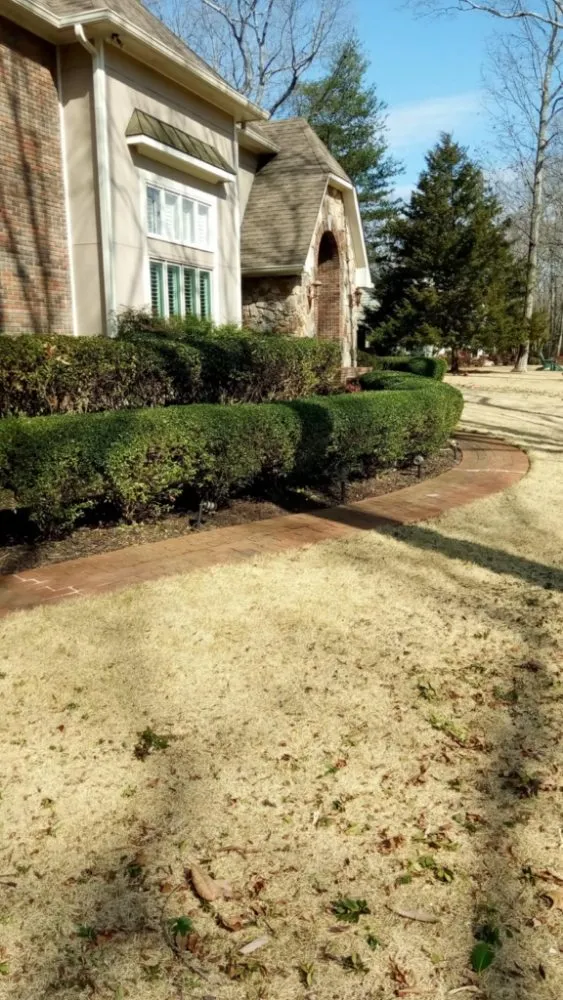Affordable yard maintenance for outdoor upgrades across Somerville, AL - Heart Of The Valley