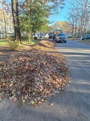 Heart Of Virginia Landscaping And Lawn Care Logo