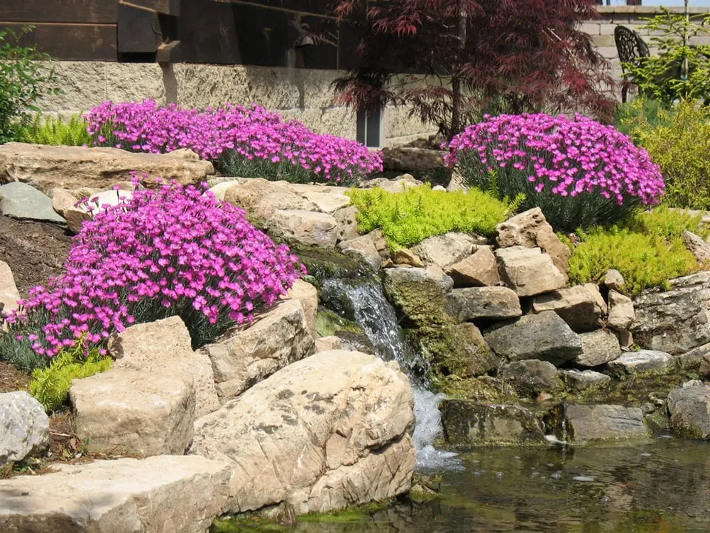 Local yard maintenance in Washington, IL by Heart Woods Landscaping