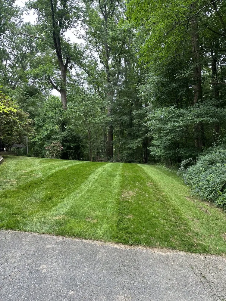 Reliable landscape installation for beautiful yards in Baldwin, MD by Heartbeat Landscaping