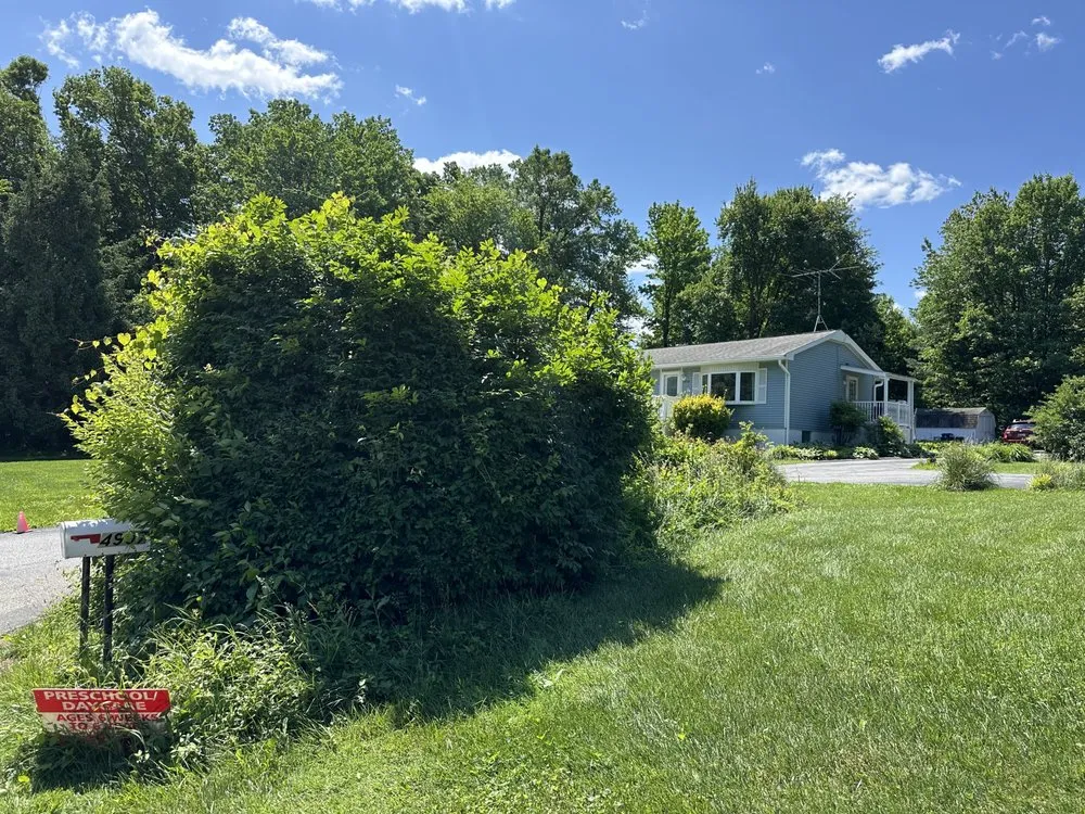 Expert landscape design for year-round maintenance in Baldwin, MD by Heartbeat Landscaping
