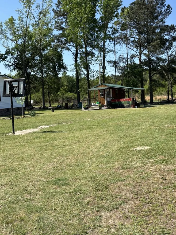 Expert lawn care service for beautiful yards in Fairmont, NC by Heartbeatdastreets