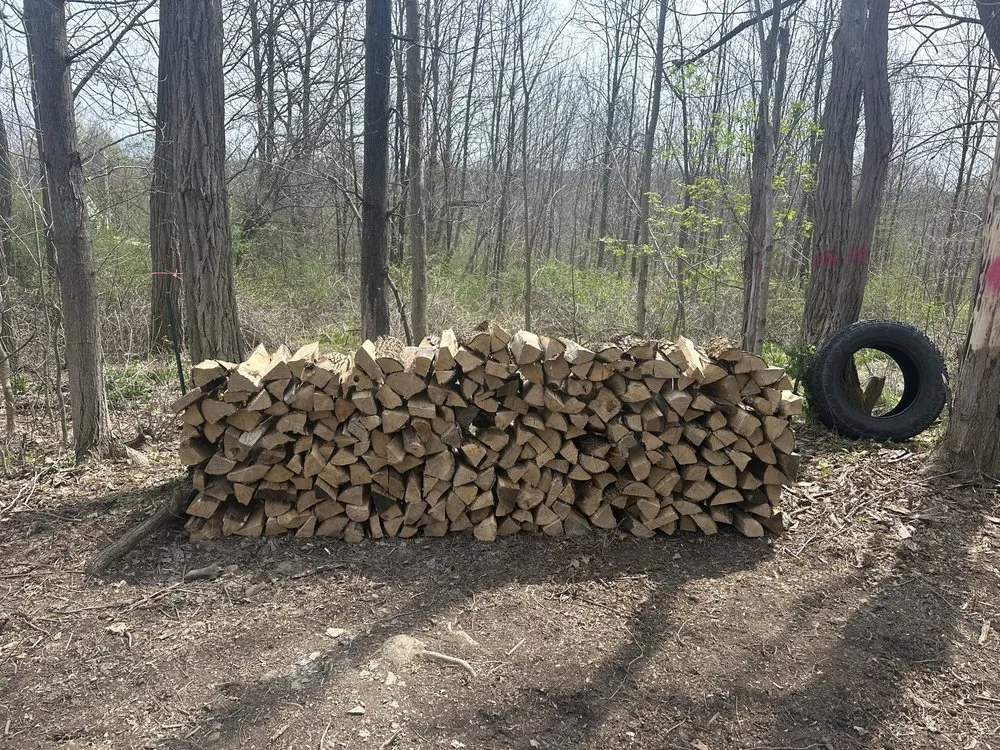 Top-rated yard cleanup service in Warsaw, NY - Hearthstone Firewood and Stump Grinding