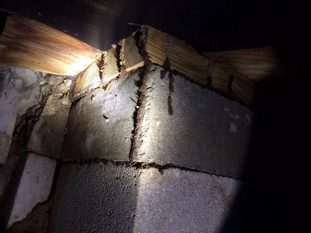 Custom landscape design in Sebring, FL - Heartland Exterminating