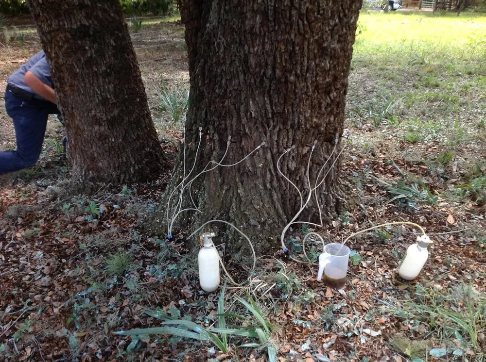 Expert yard maintenance in Sebring, FL by Heartland Exterminating