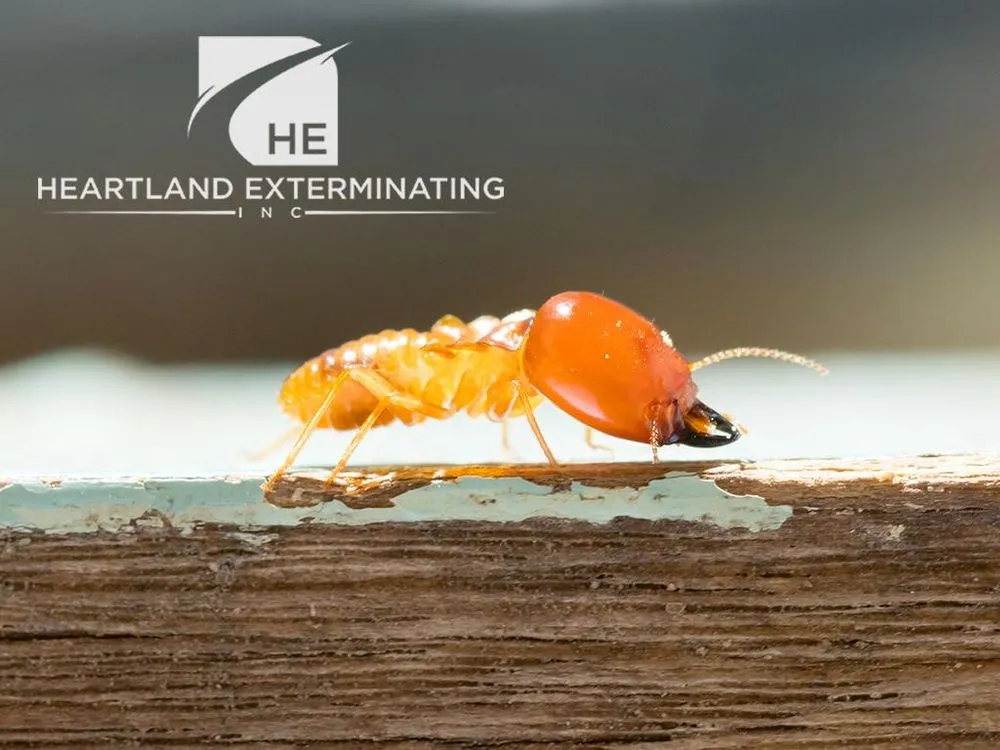 Top-rated landscape design for year-round maintenance in Sebring, FL by Heartland Exterminating