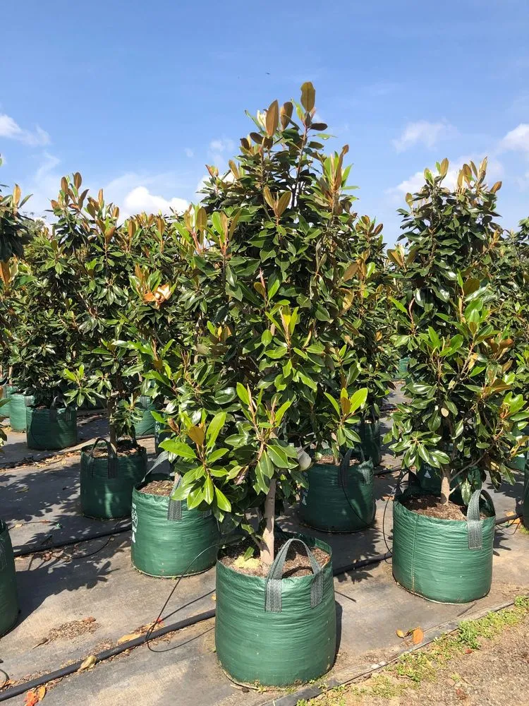 Affordable landscaping services with custom design across Pierson, FL - Heartland farm and Landscaping