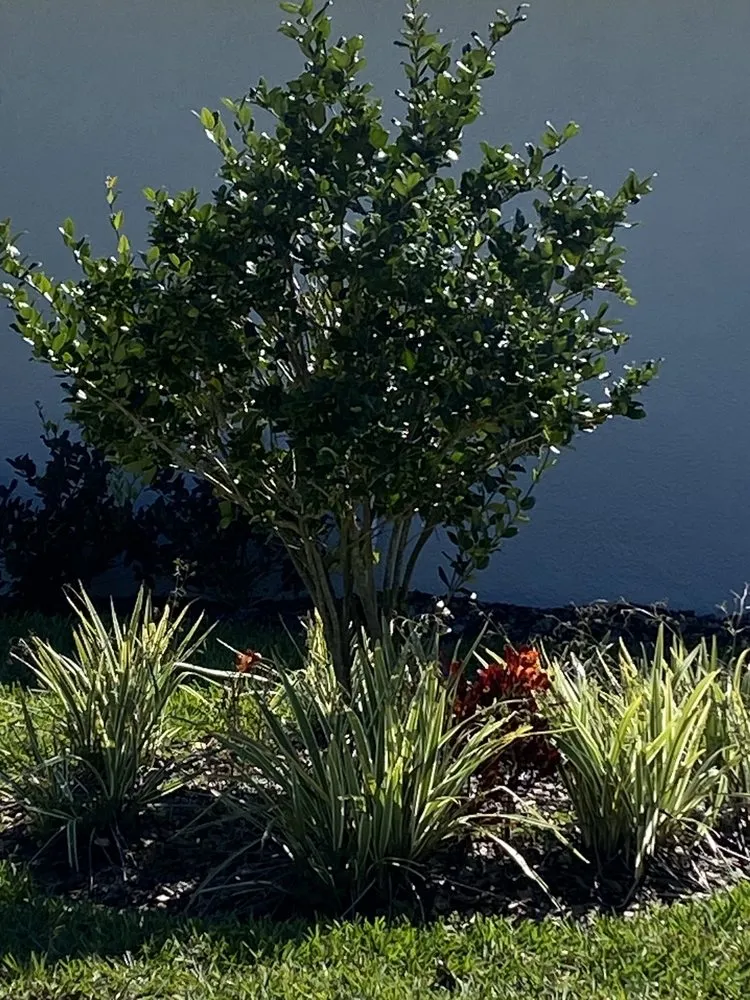 Custom lawn mowing service in Pierson, FL by Heartland farm and Landscaping