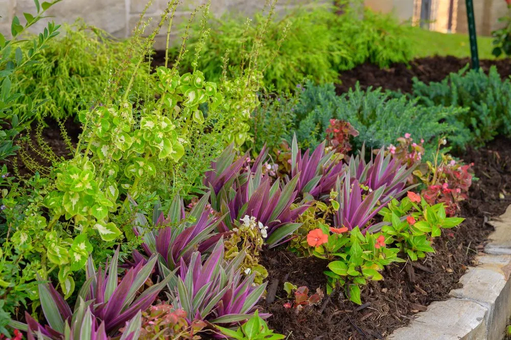 Custom landscape installation for year-round maintenance in Jones, OK by Heartland Landscape Group