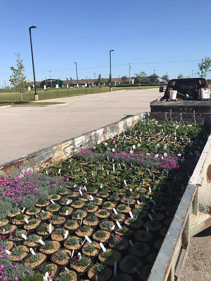 Affordable yard maintenance in Bernie, MO by Heartland Lawn Service