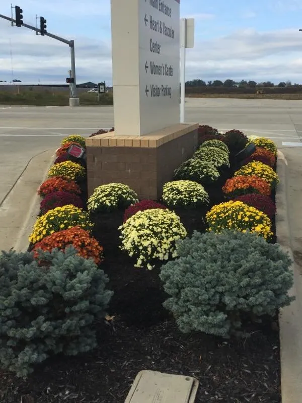 Custom yard cleanup service in Bernie, MO by Heartland Lawn Service