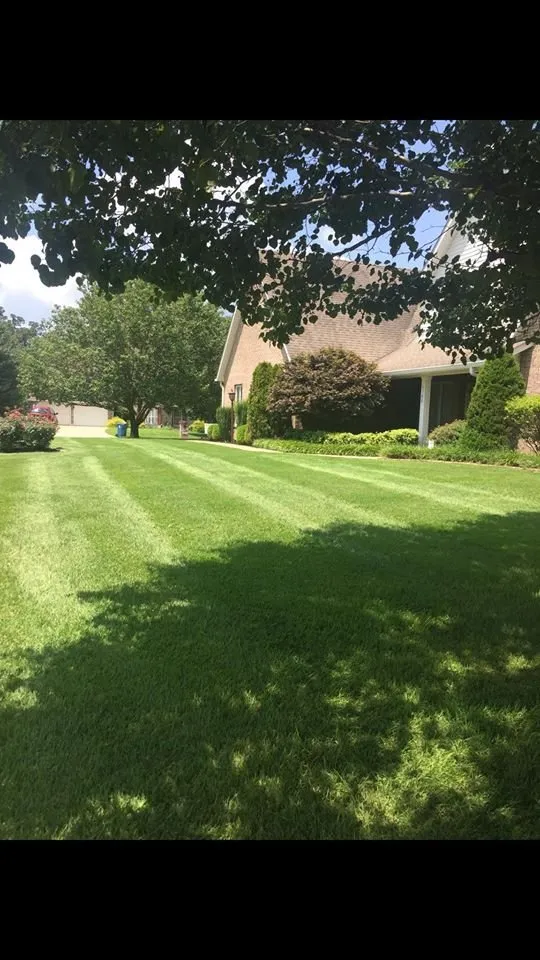 Affordable landscape design in Bernie, MO by Heartland Lawn Service