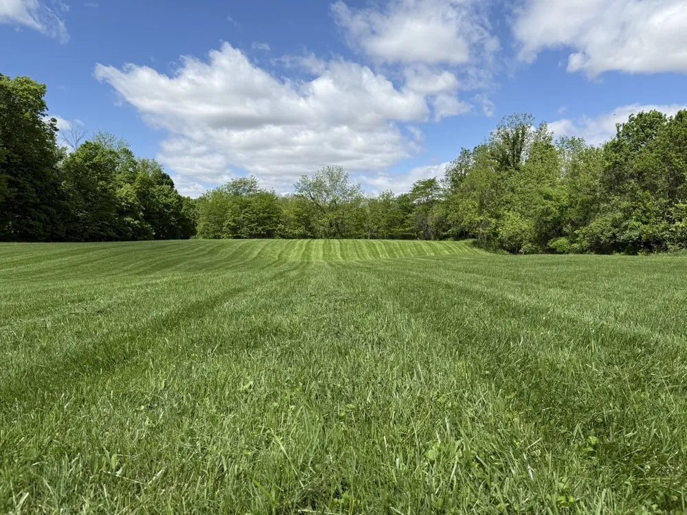 Reliable yard cleanup service for homes in Elwood, IN by Heartland Lawn Service