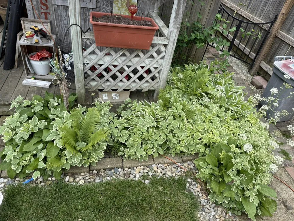 Reliable landscaping services near you across Elwood, IN - Heartland Lawn Service