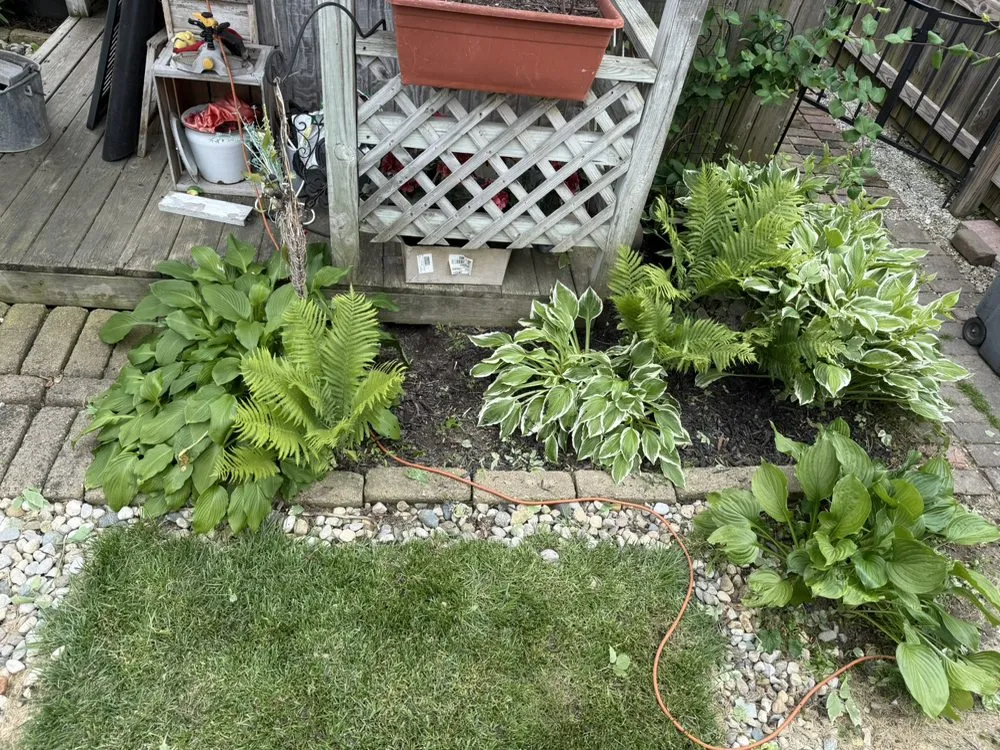 Professional outdoor landscaping near you across Elwood, IN - Heartland Lawn Service