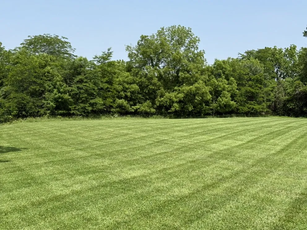 Custom yard cleanup service for homes in Elwood, IN by Heartland Lawn Service