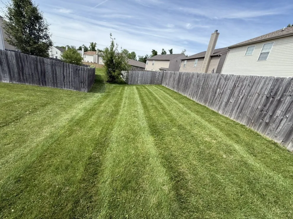 Trusted yard cleanup service for beautiful yards across Elwood, IN - Heartland Lawn Service