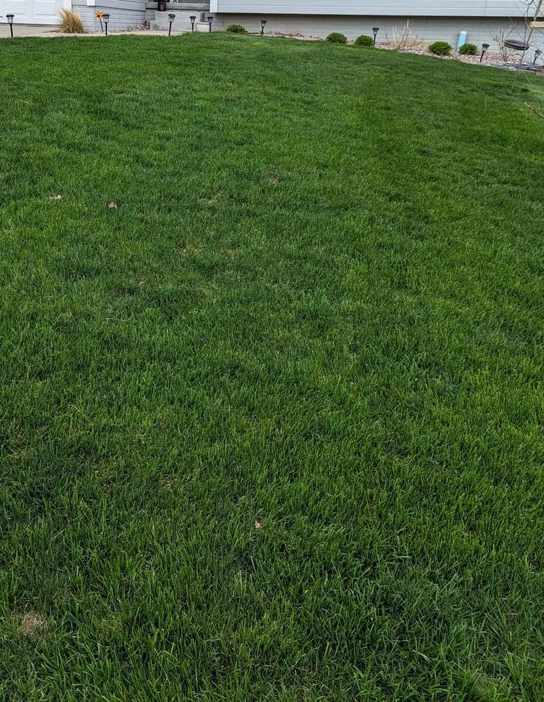 Top-rated yard maintenance in Omaha, NE by Heartland Lawns