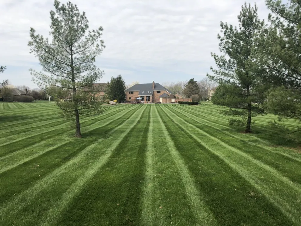 Professional yard cleanup service in Mason, OH by Heartland Lawnscaping