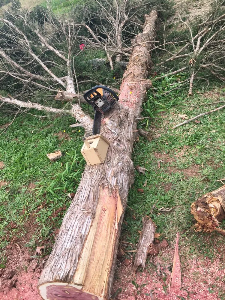 Affordable lawn mowing service for year-round maintenance across Winder, GA - Heartland Rocks