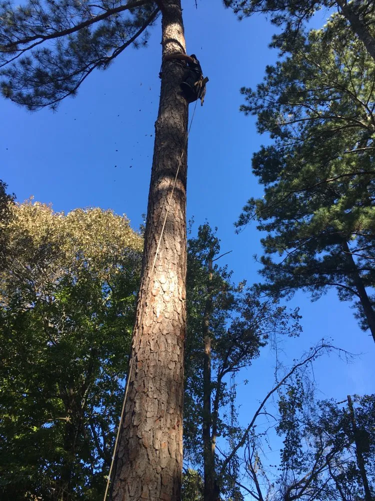 Professional residential landscaping experts serving Winder, GA - Heartland Rocks